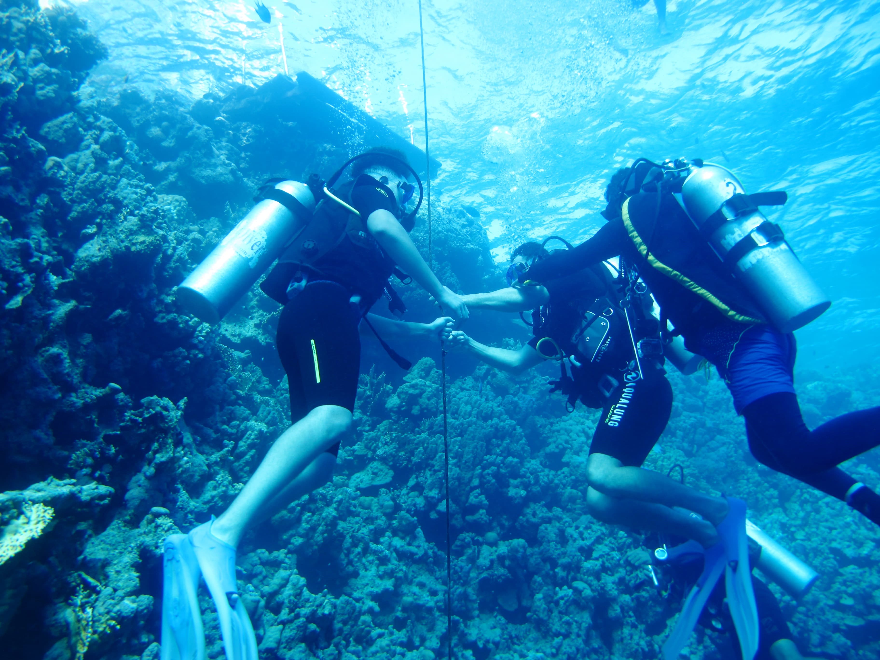 Tauchen im Roten Meer - Unterwasserwelt mit Korallenriffen